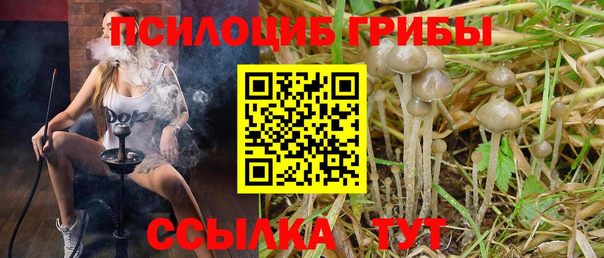 Псилоцибиновые грибы MAGIC MUSHROOMS Дагестанские Огни