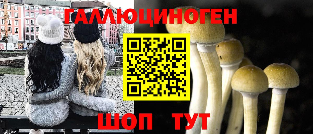 Псилоцибиновые грибы GOLDEN TEACHER  Галлюциногенные грибы GOLDEN TEACHER  Вход с VPN  Дагестанские Огни 